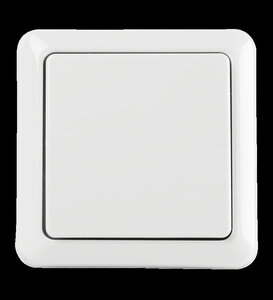 Draadloze enkele wandschakelaar voor KlikAanKlikUit systeem met gebruiksgemak zonder stroomvoorziening