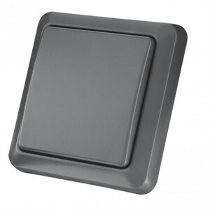 Draadloze wandschakelaar voor buitengebruik met spatwaterdichte behuizing en bediening van een apparaat of groep KAKU AGST 8800