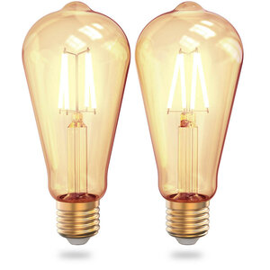 Filament Edison lamp voor binnenverlichting met WiFi bediening en grote fitting E27 in 2 pack