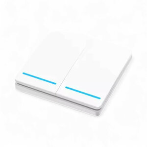 Draadloze schakelaar voor binnengebruik met RF 433 MHz signaal en 2 knoppen maximaal 10 ampere belasting