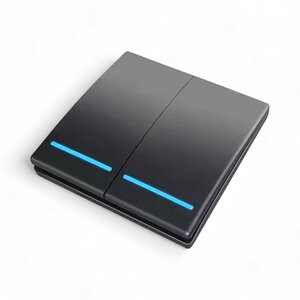 Draadloze schakelaar voor verlichting en apparaten met RF 433 MHz signaal en twee knoppen