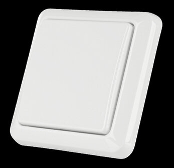 Draadloze enkele wandschakelaar voor KlikAanKlikUit systeem met gebruiksgemak zonder stroomvoorziening