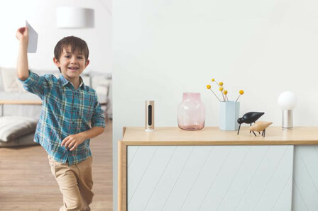 Beveiligingscamera voor binnen met gezichtsherkenning en inbraakalarm bedraad en draadloos staand