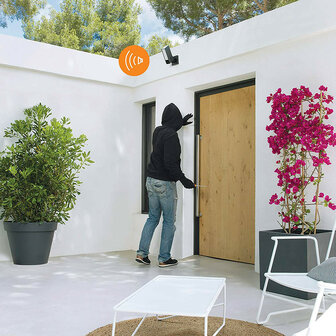 Beveiligingscamera voor buiten met vaste montage en ingebouwde sirene voor detectie en verlichting