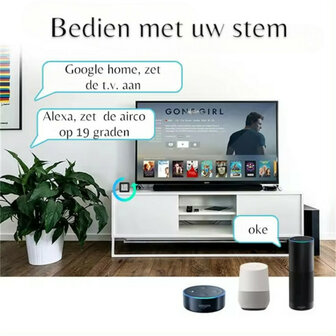 Temperatuur en Hygrometer voor klimaatcontrole met IR en app bediening