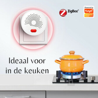 Zigbee Gas Melder (LPG en Aardgas)