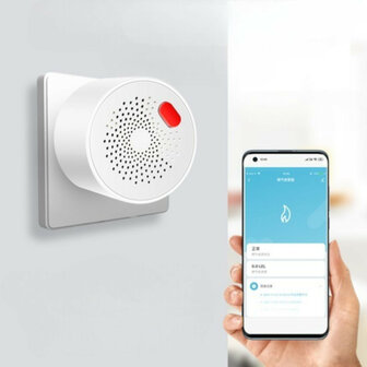 Gasmelder voor LPG en aardgas met 230V netstroom en real-time meldingen via app