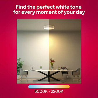 Plafondlamp voor slimme verlichting met Zigbee dimfunctie metalen behuizing ronde vorm E27 fitting