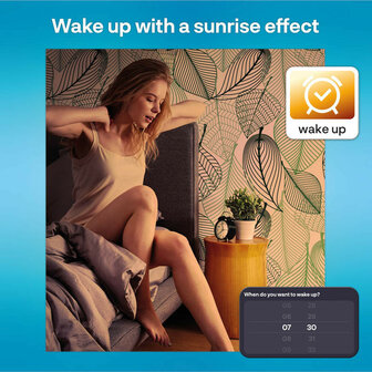 Filament Edison lamp voor binnenverlichting met WiFi bediening en grote fitting E27 in 2 pack