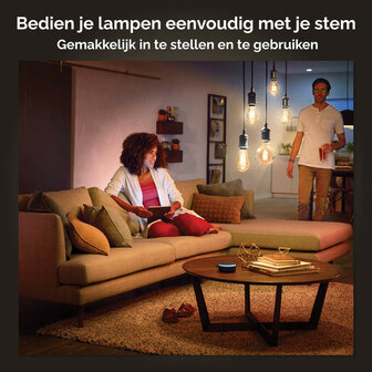 Filament Edison lamp voor sfeerverlichting met Zigbee Bluetooth E27 fitting instelbaar lichtkleur