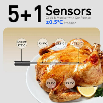 Thermometer voor barbecue met Wifi bereik en LCD display