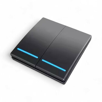 Draadloze schakelaar voor verlichting en apparaten met RF 433 MHz signaal en twee knoppen