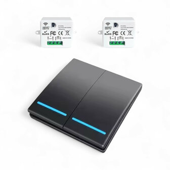 Draadloze schakelaar voor huisautomatisering met RF 433 MHz en 2 knoppen inclusief ontvanger 10A set