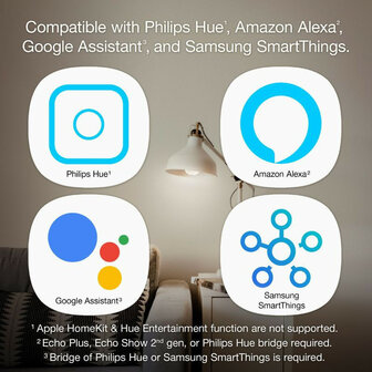 Filament Edison lamp voor slimme verlichting met Zigbee dimfunctie en E27 fitting