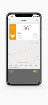 Thermometer voor grill en oven met aansluiting voor acht sondes en display afleesbaar in zonlicht