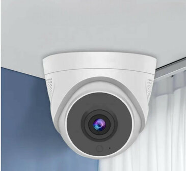 Beveiligingscamera dome 4MP voor plafondmontage, wit, met nachtzicht en Tuya-app