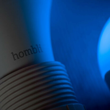 Smart lamp voor verlichting met wifi systeem en kleurinstelling grote fitting E27 800 lumen 25000 uur levensduur plastic bolvorm