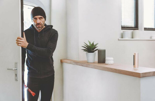 Beveiligingscamera voor binnen met gezichtsherkenning en inbraakalarm bedraad en draadloos staand