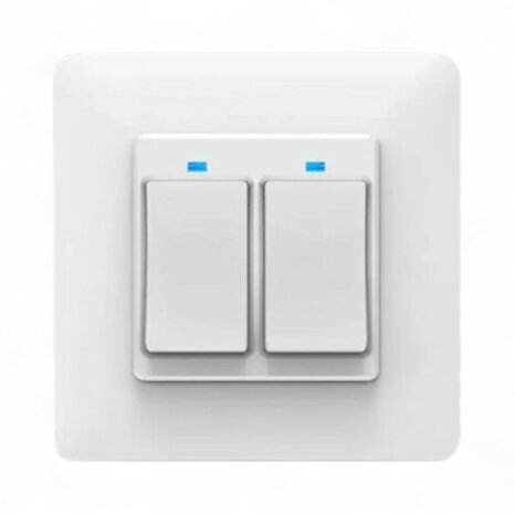 Slimme inbouw schakelaar voor twee knoppen met controleverlichting en app bediening