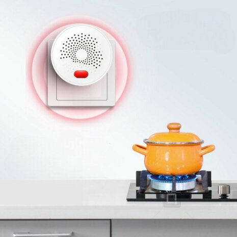 Gasmelder voor LPG en aardgas met 230V netstroom en real-time meldingen via app