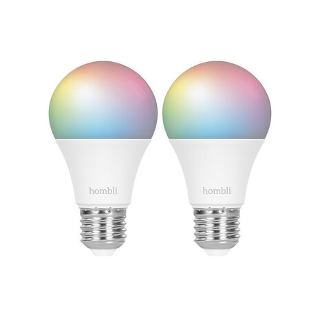 Smart lamp voor verlichting met wifi bediening en kleurinstelling grote fitting E27 2 stuks