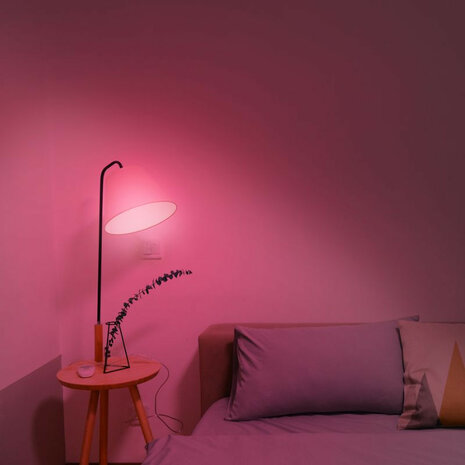 Smart lamp voor verlichting met wifi bediening en kleurinstelling grote fitting E27 2 stuks