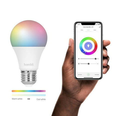 Smart lamp voor verlichting met wifi bediening en kleurinstelling grote fitting E27 2 stuks