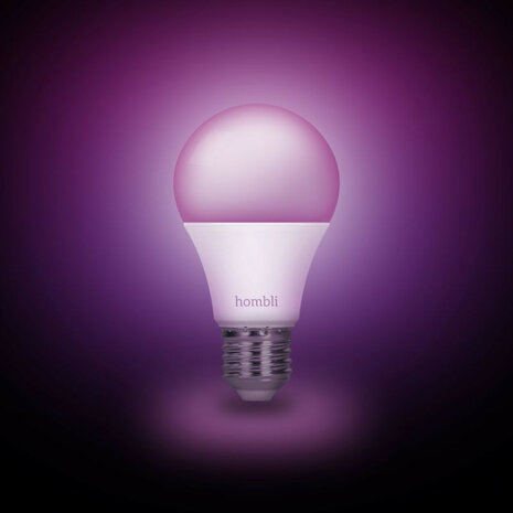 Smart lamp voor verlichting met wifi bediening en kleurinstelling grote fitting E27 2 stuks