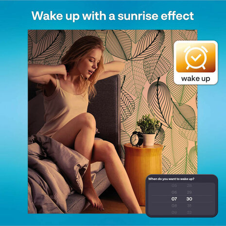 Filament Edison lamp voor binnenverlichting met WiFi bediening en grote fitting E27 in 2 pack