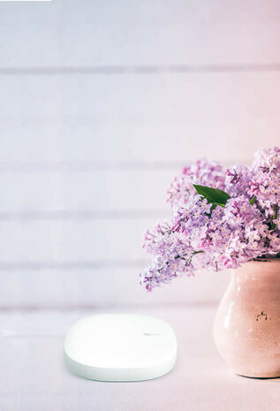 Smart Home Hub voor Samsung SmartThings met Zigbee en Zwave connectiviteit bedraad en draadloos maximaal 100 apparaten