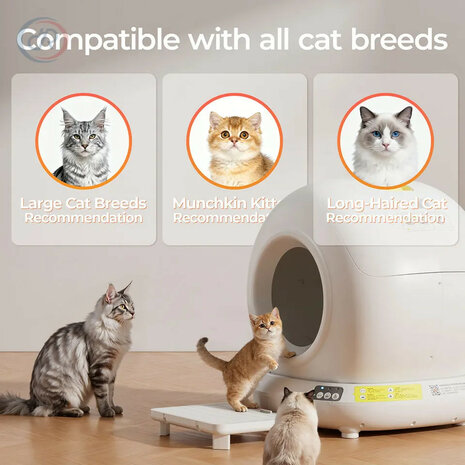 Automatische kattenbak voor APP besturing met verbeterde veiligheidsbescherming