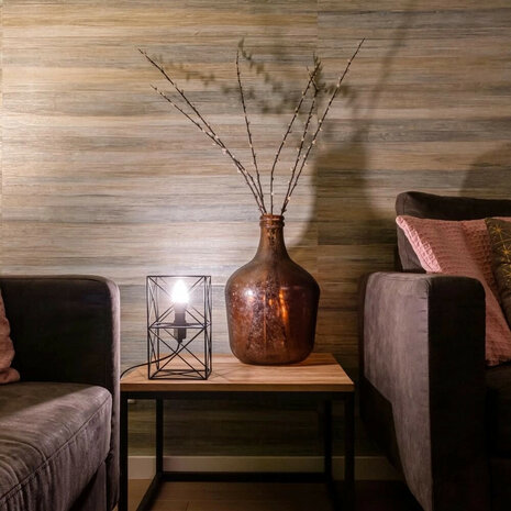 AduroSmart E27 led lamp voor binnenverlichting met warm witte dimbare verlichting en draadloze bediening