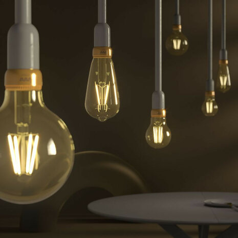 Filament Edison lamp voor slimme verlichting met Zigbee dimfunctie en E27 fitting 2 stuks glas vintage design
