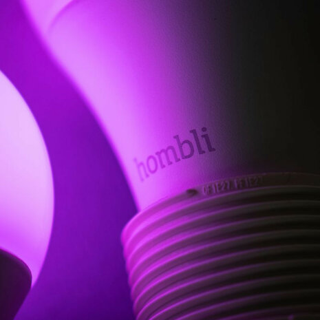 Smart lamp voor verlichting met wifi en kleurinstelling grote fitting E27 800 lumen 25000 uur levensduur