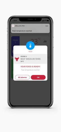 Thermometer voor grill en oven met aansluiting voor acht sondes en display afleesbaar in zonlicht