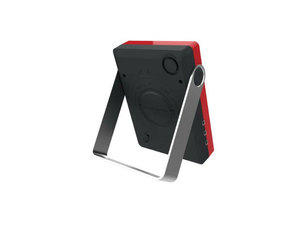 Thermometer voor grillen en roken met Bluetooth en RVS sondes voor nauwkeurige kerntemperatuurmonitoring