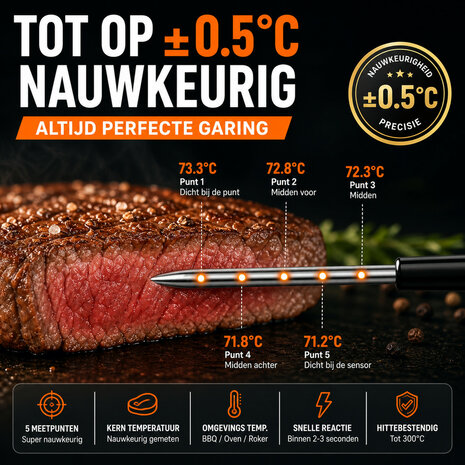 Wifi BBQ thermometer met LCD-display en alarmfunctie