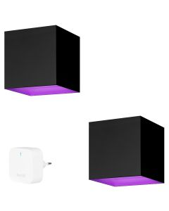 Hombli Outdoor Wand Verlichting V2 Lamp Zwart 2-Pack + Bridge